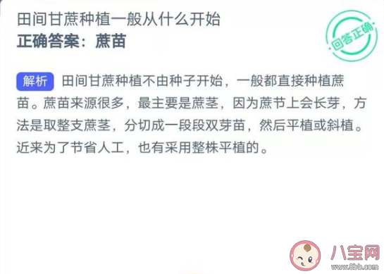 田間甘蔗種植一般從什么開始 螞蟻新村1月7日答案