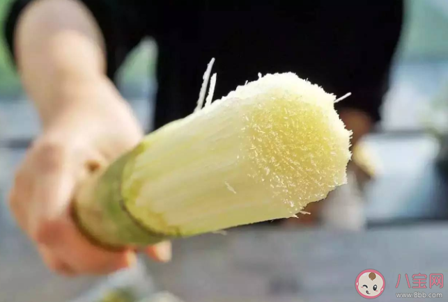 甘蔗是不是水果 冬季吃甘蔗有什么好處