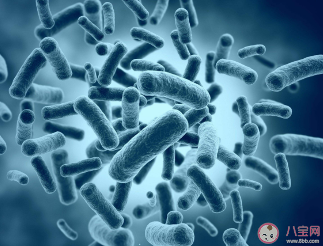 腸道菌群失調有哪些表現 腸道菌群失調有哪些危害