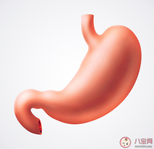 腸道菌群失調如何改善 益生菌對腸道健康有什么好處 腸道菌群失調如何改善 益生菌對腸道健康有什么好處