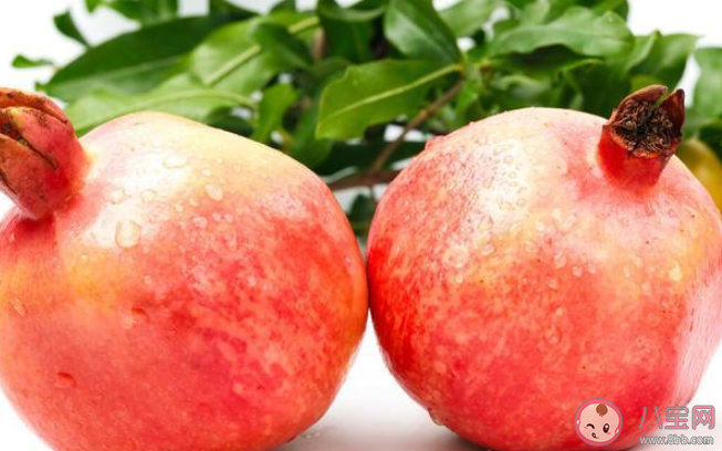 壓歲果是什么意思 可以用什么水果做壓歲果 壓歲果是什么意思 可以用什么水果做壓歲果