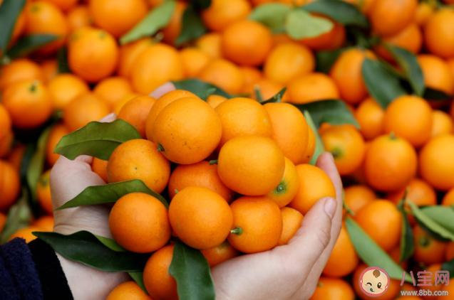 壓歲果是什么意思 可以用什么水果做壓歲果 壓歲果是什么意思 可以用什么水果做壓歲果