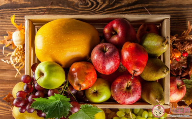 春節的水果怎么買 過年水果吃不完怎么儲存