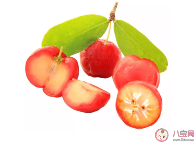 針葉櫻桃是櫻桃嗎 針葉櫻桃哪里可以買到