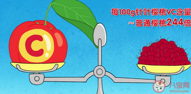 針葉櫻桃是櫻桃嗎 針葉櫻桃哪里可以買到