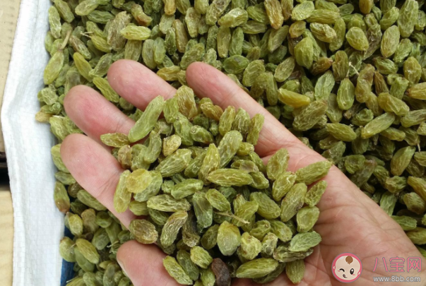 葡萄干洗了可以放到第二天嗎 葡萄干怎么清洗最干凈 葡萄干洗了可以放到第二天嗎 葡萄干怎么清洗最干凈