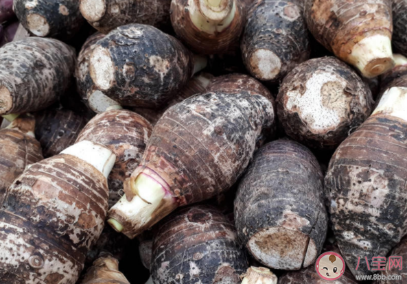 減肥可以吃芋頭嗎 減肥吃芋頭要注意什么 減肥可以吃芋頭嗎 減肥吃芋頭要注意什么