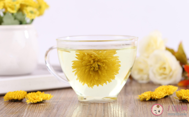 菊花茶泡久了變綠能喝嗎 泡菊花茶的4個關鍵 菊花茶泡久了變綠能喝嗎 泡菊花茶的4個關鍵