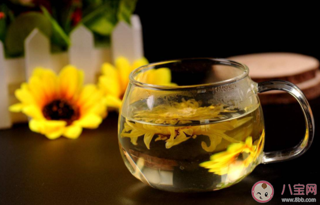 菊花茶泡久了變綠能喝嗎 泡菊花茶的4個關鍵 菊花茶泡久了變綠能喝嗎 泡菊花茶的4個關鍵