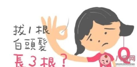 長了白頭發到底能不能拔 白頭發該怎么辦