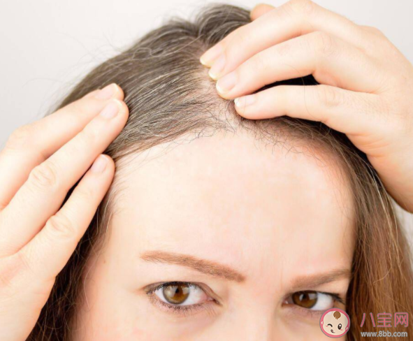 用特制的藥水洗頭可以重新長出白發是真的嗎 白頭發拔掉以后能長出黑發嗎 用特制的藥水洗頭可以重新長出白發是真的嗎 白頭發拔掉以后能長出黑發嗎