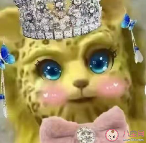 熱度排斥癥是怎么來的 為什么熱度越高的越不喜歡