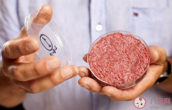 植物肉和傳統(tǒng)肉類有什么區(qū)別 植物肉可以代替肉類嗎