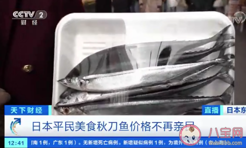 日本秋刀魚價格暴漲 秋刀魚營養價值怎樣 日本秋刀魚價格暴漲 秋刀魚營養價值怎樣