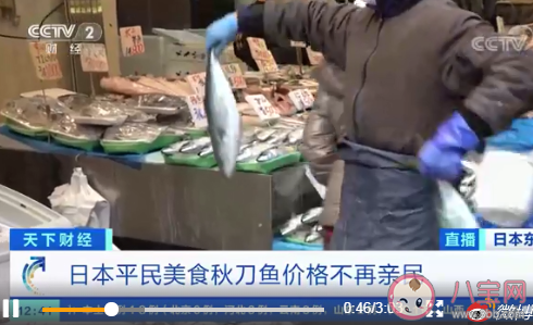 日本秋刀魚價格暴漲 秋刀魚營養價值怎樣 日本秋刀魚價格暴漲 秋刀魚營養價值怎樣