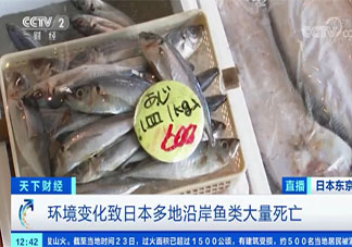 日本秋刀魚價格暴漲 秋刀魚營養(yǎng)價值怎樣