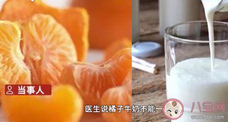 橘子和牛奶不能同時吃嗎 吃了橘子還能喝牛奶嗎 橘子和牛奶不能同時吃嗎 吃了橘子還能喝牛奶嗎