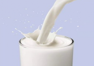 水果和牛奶可以一起食用嗎 牛奶能和含草酸蔬果一起吃嗎