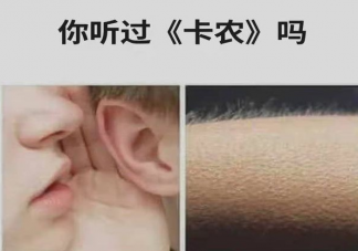 卡農警告是什么意思什么梗 卡農到底有什么含義