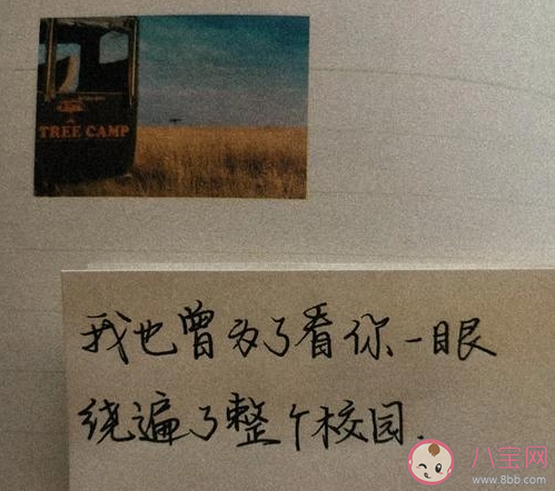 抖音我怕懦弱釀成錯過開口帶來難過是什么歌 《暗戀是一首按了靜音的歌》完整版歌詞聽歌