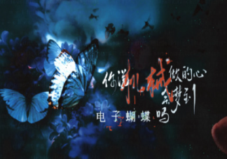 你說機械做的心會夢到電子蝴蝶嗎是什么歌 《念破》完整版歌詞在線聽歌