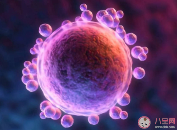 哪些備孕女性需要B超監測排卵 卵泡沒發育成熟就排卵還能懷孕嗎