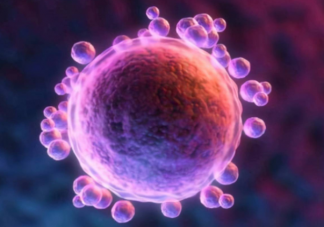 哪些備孕女性需要B超監測排卵 卵泡沒發育成熟就排卵還能懷孕嗎