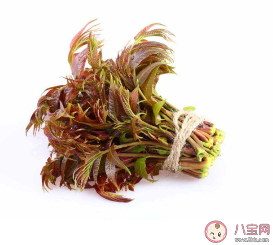 香椿價格為什么這么貴 香椿好不好吃