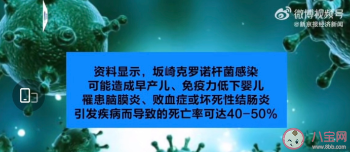 阪崎克羅諾桿菌有哪些危害 如何預防阪崎腸桿菌 阪崎克羅諾桿菌有哪些危害 如何預防阪崎腸桿菌