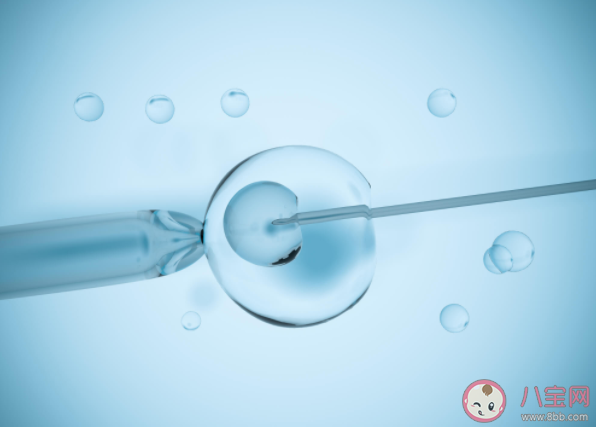 輔助生殖納入醫保 試管嬰兒哪些費用可以醫保報銷2022 輔助生殖納入醫保 試管嬰兒哪些費用可以醫保報銷2022