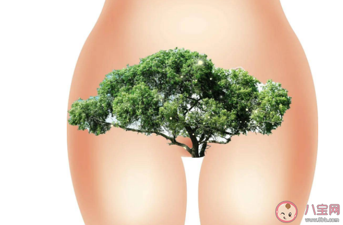 私處的毛毛為什么這么粗 私處的毛可以剃掉嗎 私處的毛毛為什么這么粗 私處的毛可以剃掉嗎