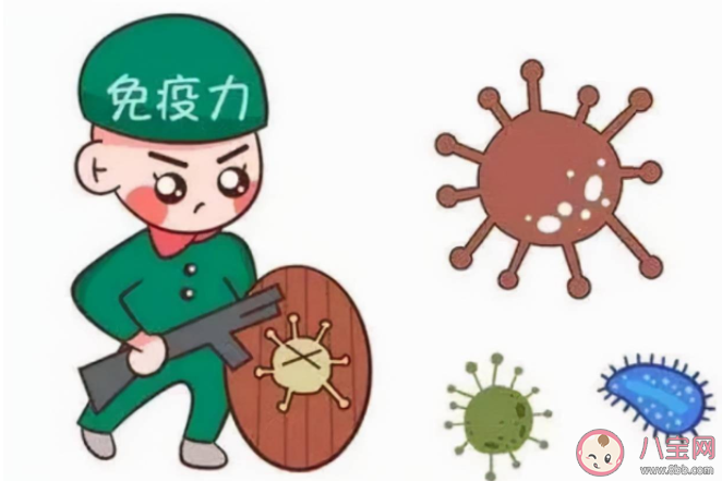 好看的人免疫功能更強大嗎 如何科學提高免疫力