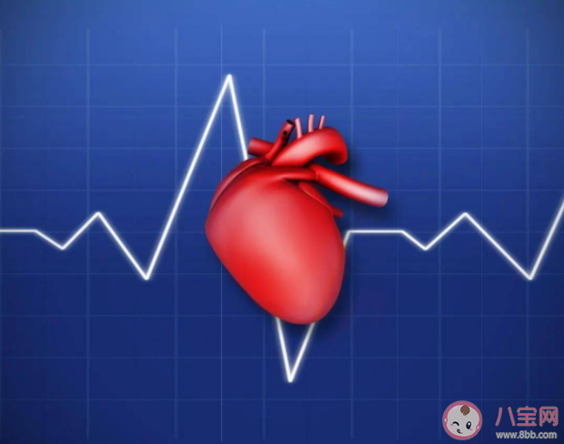 心跳快慢影響壽命嗎 心跳慢更長壽嗎
