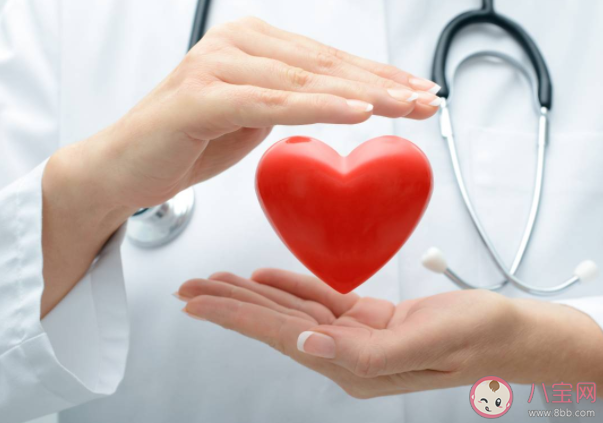 心跳快慢影響壽命嗎 心跳慢更長壽嗎