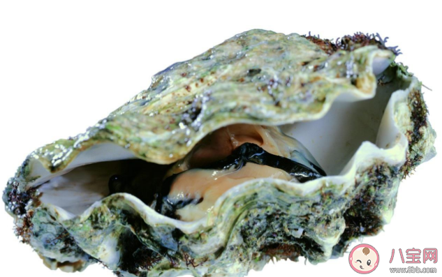 生蠔內(nèi)部出現(xiàn)泥巴正常嗎 生蠔怎么處理干凈 生蠔內(nèi)部出現(xiàn)泥巴正常嗎 生蠔怎么處理干凈