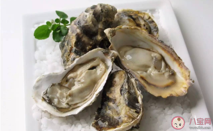 生蠔的內臟在哪里 吃生蠔前需注意哪幾點 生蠔的內臟在哪里 吃生蠔前需注意哪幾點