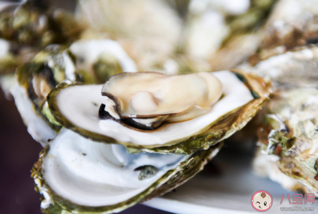 生蠔的內臟在哪里 吃生蠔前需注意哪幾點 生蠔的內臟在哪里 吃生蠔前需注意哪幾點