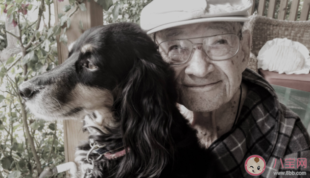 養寵物有助老年人大腦健康嗎 有哪些適合老年人養的寵物