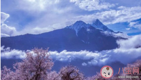 國內適合三月份旅游的城市有哪些 2022適合三月份旅游地點推薦