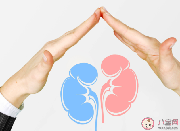 2022世界腎臟日主題是什么 護腎可以怎么做