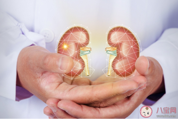 2022世界腎臟日主題是什么 護腎可以怎么做