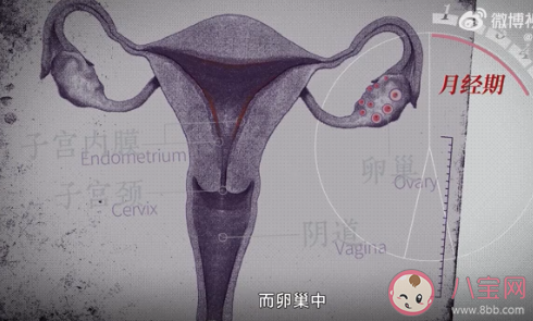 我們應該如何理解月經羞恥 可以在公共場合討論月經嗎 我們應該如何理解月經羞恥 可以在公共場合討論月經嗎