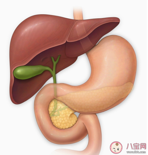 排毒騙局的10個真相 人體真的需要排毒嗎