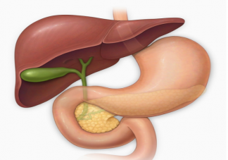 排毒騙局的10個真相 人體真的需要排毒嗎