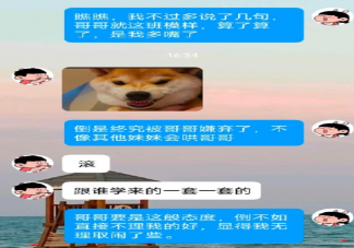 林黛玉發瘋文學語錄合集 模仿林黛玉說話的聊天句子