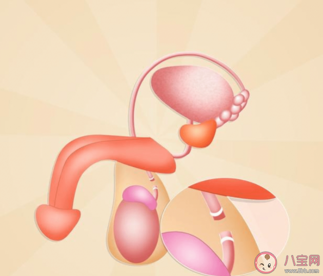 為什么很多男性不愿意結扎 男性結扎以后會不會影響性功能