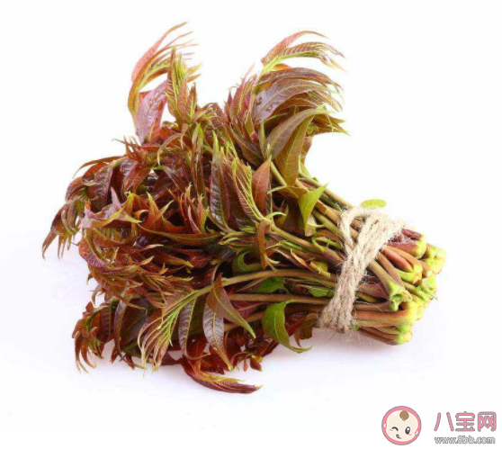 香椿里為什么會有亞硝酸鹽 香椿最好現(xiàn)買現(xiàn)吃