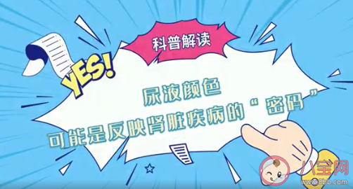 如何才能保護腎臟健康 怎樣判斷腎是否健康