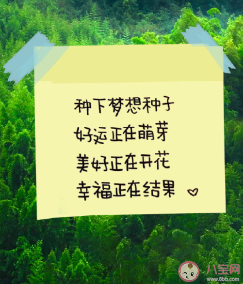 2022植樹節(jié)可愛文案句子最新 適合植樹節(jié)發(fā)的微信說說句子