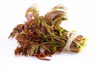 香椿里為什么會有亞硝酸鹽 香椿最好現買現吃